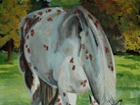 Grazing Appaloosa 9x12